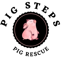 Pig Steps